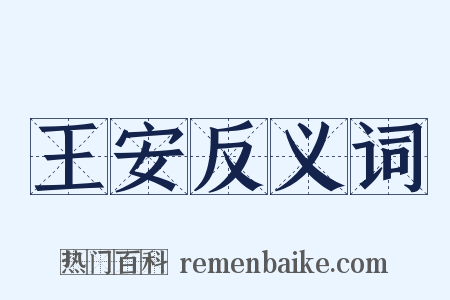 王安反义词是什么意思的图片